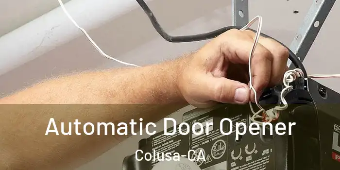  Automatic Door Opener Colusa-CA