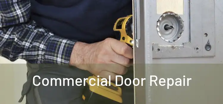  Commercial Door Repair 