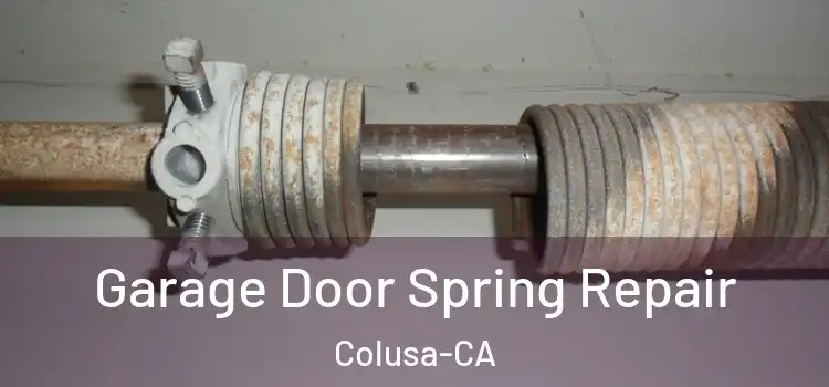  Garage Door Spring Repair Colusa-CA