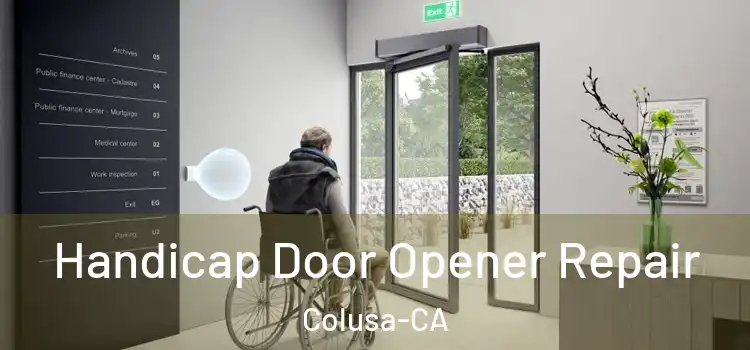  Handicap Door Opener Repair Colusa-CA
