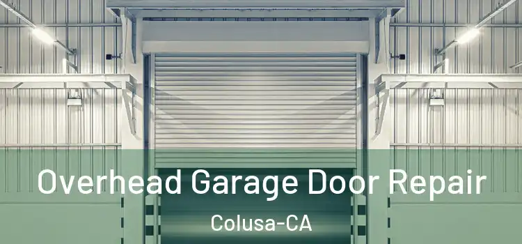 Overhead Garage Door Repair Colusa-CA